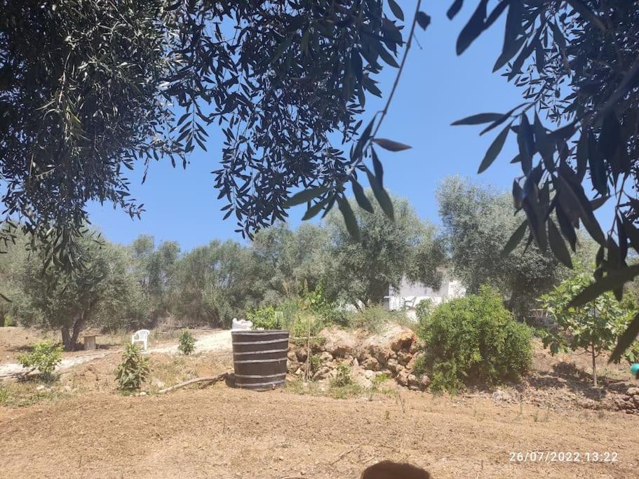 Corfu Oasis Studio Neochorakion Εξωτερικό φωτογραφία