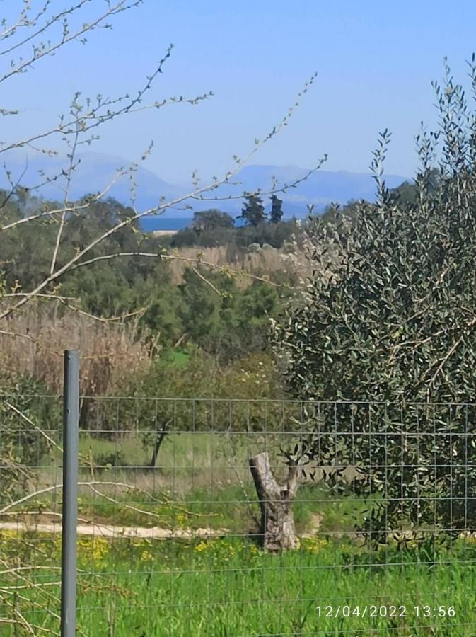 Corfu Oasis Studio Neochorakion Εξωτερικό φωτογραφία