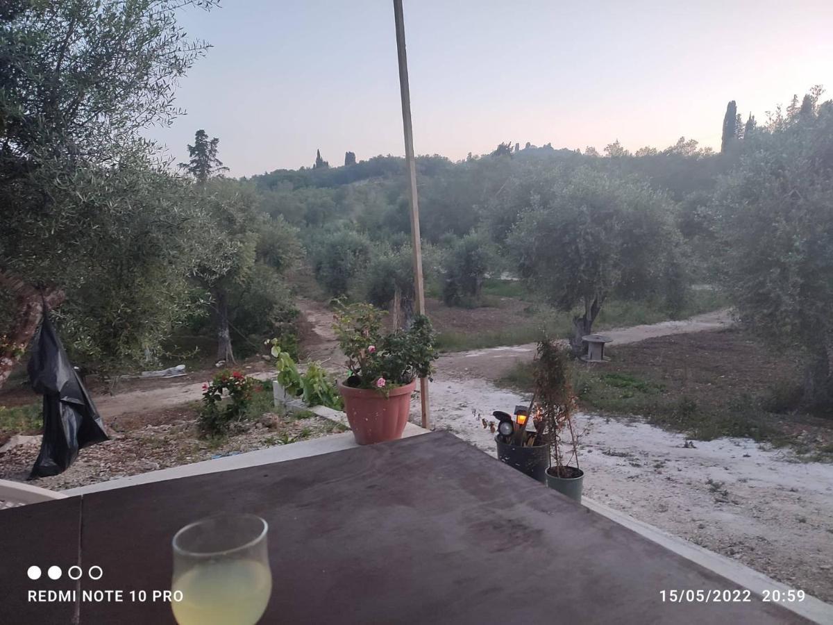Corfu Oasis Studio Neochorakion Εξωτερικό φωτογραφία