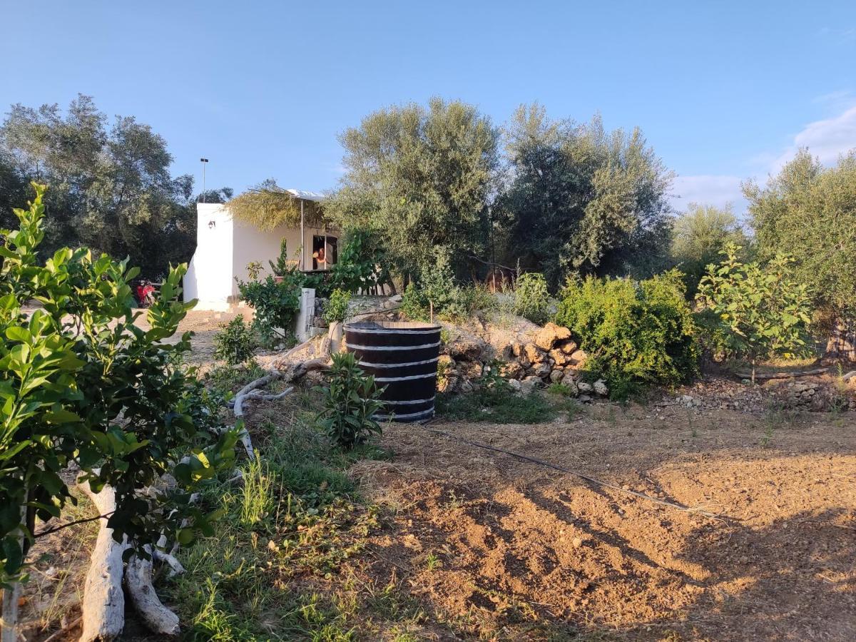 Corfu Oasis Studio Neochorakion Εξωτερικό φωτογραφία