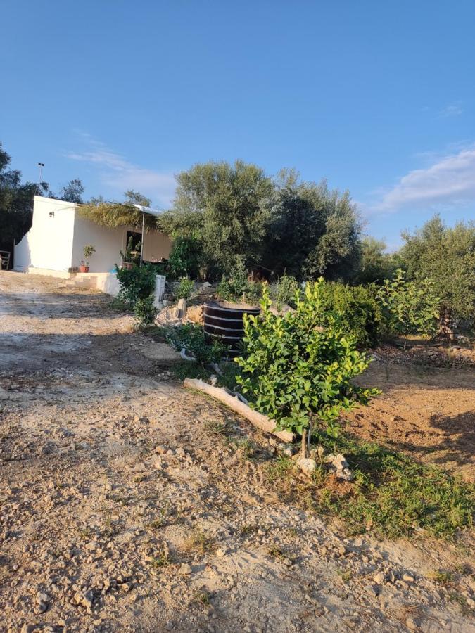 Corfu Oasis Studio Neochorakion Εξωτερικό φωτογραφία
